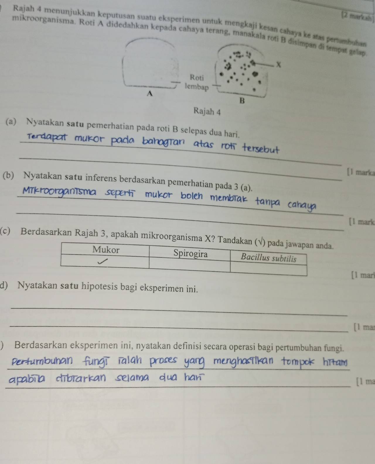 [2 markah 
Rajah 4 menunjukkan keputusan suatu eksperimen untuk mengkaji kesan cahaya ke atas pertumbuhan 
mikroorganisma. Roti A didedahkan kepada cahaya terang, manakala ro disimpan di tempat gelap 
Rajah 4 
_ 
(a) Nyatakan satu pemerhatian pada roti B selepas dua hari. 
_ 
[1 marka 
_ 
(b) Nyatakan satu inferens berdasarkan pemerhatian pada 3 (a). 
_ 
[1 mark 
(c) Berdasarkan Rajah 3, apakah mikroorganisma X. 
[1 marl 
d) Nyatakan satu hipotesis bagi eksperimen ini. 
_ 
_[1 mar 
) Berdasarkan eksperimen ini, nyatakan definisi secara operasi bagi pertumbuhan fungi. 
_ 
_ 
[1 ma