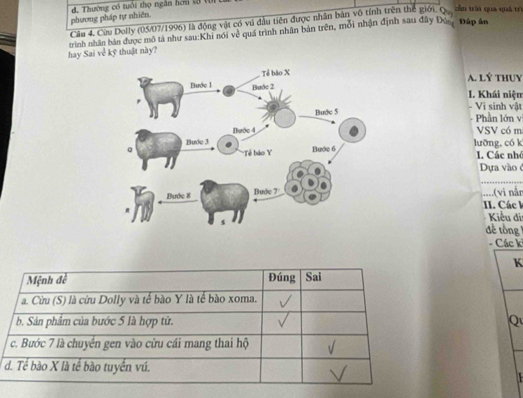 d. Thường có tuổi thọ ngân hơn số Vũ
phương pháp tự nhiên.
Câu 4. Cừu Dolly (05/07/1996) là động vật có vú đầu tiên được nhân bản vô tính trên thế giới, Q_10
cần trài qua quá mì
trình nhân bản được mô tà như sau:Khi nói về quá trình nhân bản trên, mỗi nhận định sau đây Đún, Đấp ân
hay Sai ve kỹ thuật này?
A. Lý thuy
I. Khái niệm
- Vì sinh vật
Phần lớn v
VSV có m
lưỡng, có k. Các nhỏ
Dựa vào ở
....(vi nân
II. Các k
Kiểu đi
đề tổng 
- Các k
K
Qu
d