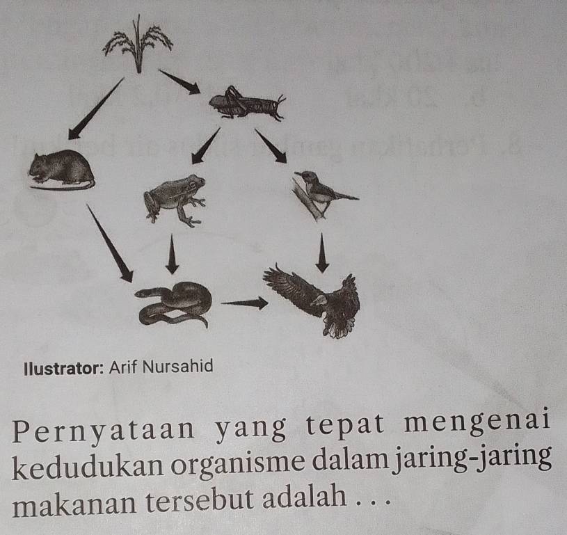 Ilu 
Pernyataan yang tepat mengenai 
kedudukan organisme dalam jaring-jaring 
makanan tersebut adalah . . .