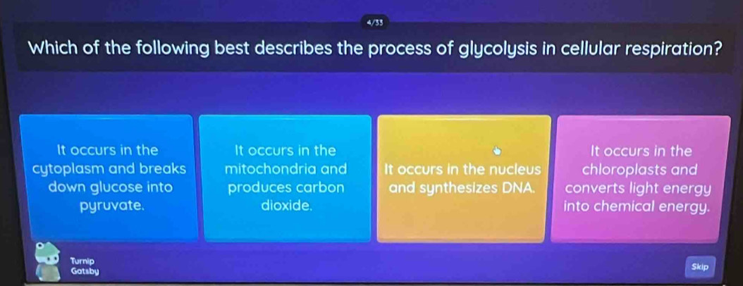 4/33
Which of the following best describes the process of glycolysis in cellular respiration?
It occurs in the It occurs in the It occurs in the
cytoplasm and breaks mitochondria and It occurs in the nucleus chloroplasts and
down glucose into produces carbon and synthesizes DNA. converts light energy
pyruvate. dioxide. into chemical energy.
Turnip
Gatsby Skip