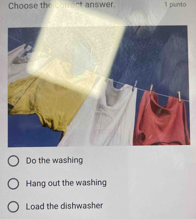 Choose the correct answer. 1 punto
Do the washing
Hang out the washing
Load the dishwasher