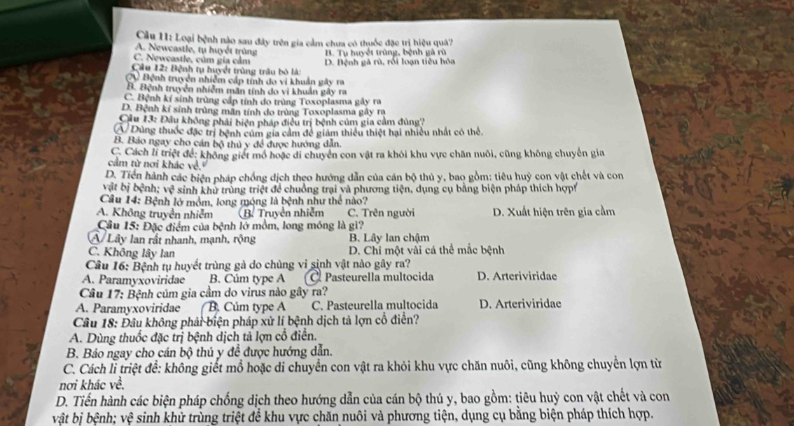 Loại bệnh nào sau đây trên gia cảm chưa có thuốc đặc trị hiệu quâ?
A. Newcastle, tự huyết trùng
C. Newcastle, củm gia cảm B. Tụ huyết trùng, bệnh gà rù
Câu 12: Bệnh tụ huyết trùng trâu bộ là: D. Bệnh gà rù, rối loạn tiêu hóa
V Bệnh truyền nhiễm cấp tính do vi khuẩn gây ra
B. Bệnh truyền nhiễm mãn tính do vì khuẩn gây ra
C. Bệnh kí sinh trùng cấp tính do trùng Toxoplasma gây ra
D. Bệnh kí sinh trùng mãn tính do trùng Toxoplasma gây ra
Câu 13: Đầu không phải biện pháp điều trị bệnh củm gia cảm đủng?
A Dùng thuốc đặc trị bệnh củm gia cảm để giám thiều thiệt hai nhiều nhất có thể,
B. Báo ngay cho cán bộ thủ y để được hướng dẫn.
C. Cách lí triệt để: không giết mô hoặc di chuyển con vật ra khói khu vực chăn nuôi, cũng không chuyến gia
cầm từ nơi khác về,
D. Tiền hành các biện pháp chống dịch theo hướng dẫn của cán bộ thủ y, bao gồm: tiêu huỷ con vật chết và con
vật bị bệnh; vệ sinh khử trùng triệt để chuồng trại và phương tiện, dụng cụ bằng biện pháp thích hợp
Câu 14: Bệnh lớ mỏm, long móng là bệnh như thể nào?
A. Không truyền nhiễm B. Truyên nhiêm C. Trên người D. Xuất hiện trên gia cầm
Câu 15: Đặc điểm của bệnh lớ mồm, long móng là gì?
Á Lây lan rất nhanh, mạnh, rộng B. Lây lan chậm
C. Không lây lan D. Chỉ một vài cá thể mắc bệnh
Câu 16: Bệnh tụ huyết trùng gà do chủng vi sinh vật nào gây ra?
A. Paramyxoviridae B. Cúm type A Pasteurella multocida D. Arteriviridae
Câu 17: Bệnh củm gia cầm do virus nào gây ra?
A. Paramyxoviridae B. Cúm type A C. Pasteurella multocida D. Arteriviridae
Câu 18: Đâu không phải biện pháp xử lí bệnh dịch tả lợn cổ điễn?
A. Dùng thuốc đặc trị bệnh dịch tả lợn cổ điển.
B. Báo ngay cho cán bộ thú y đề được hướng dẫn.
C. Cách li triệt để: không giết mồ hoặc di chuyển con vật ra khỏi khu vực chăn nuôi, cũng không chuyển lợn từ
nơi khác về.
D. Tiến hành các biện pháp chống dịch theo hướng dẫn của cán bộ thú y, bao gồm: tiêu huỷ con vật chết và con
vật bị bệnh; vệ sinh khử trùng triệt đề khu vực chăn nuôi và phương tiện, dụng cụ bằng biện pháp thích hợp.