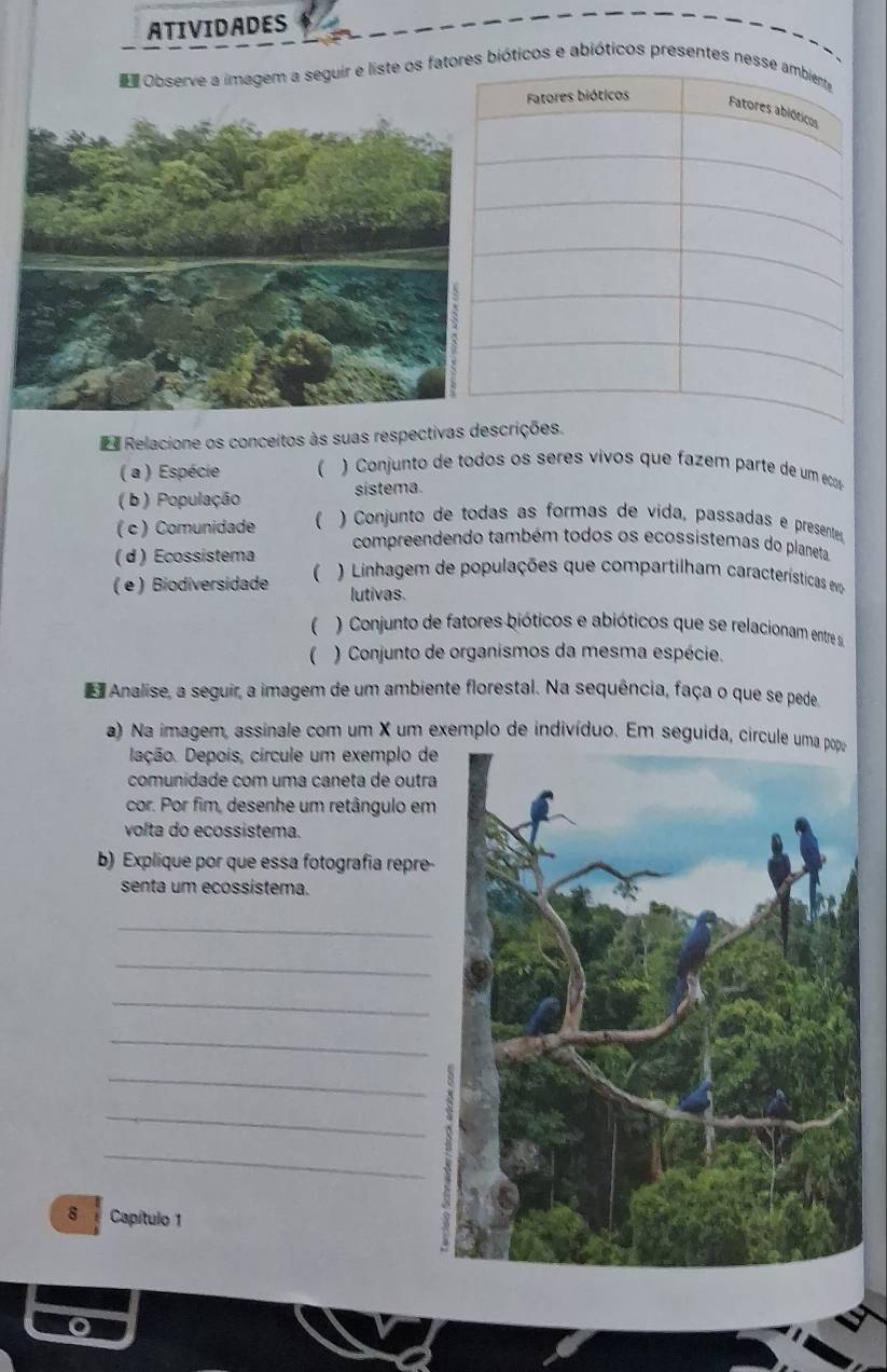 ATIVIDADES
Observe a imagem a seguir e liste os fates bióticos e abióticos presentes ne
s Relacione os conceitos às suas respectivas descrições.
( a ) Espécie  ) Conjunto de todos os séres vivos que fazém parte de um eco
( b) População sistema.
( c ) Comunidade ( ) Conjunto de todas as formas de vida, passadas e presentes
compreendendo também todos os ecossistemas do planeta
( d ) Ecossistema
( e ) Biodiversidade  ) Linhagem de populações que compartilham características evo
lutivas.
 ) Conjunto de fatores bióticos e abióticos que se relacionam entre se
) Conjunto de organismos da mesma espécie.
Analise, a seguir, a imagem de um ambiente florestal. Na sequência, faça o que se pede.
a) Na imagem, assinale com um X um exemplo de indivíduo. Em seguida, circul
Dação. Depois, círcule um exemplo de
comunidade com uma caneta de outra
cor. Por fim, desenhe um retângulo em
volta do ecossistema.
b) Explique por que essa fotografia repre-
senta um ecossístema.
_
_
_
_
_
_
_
8 Capítulo 1