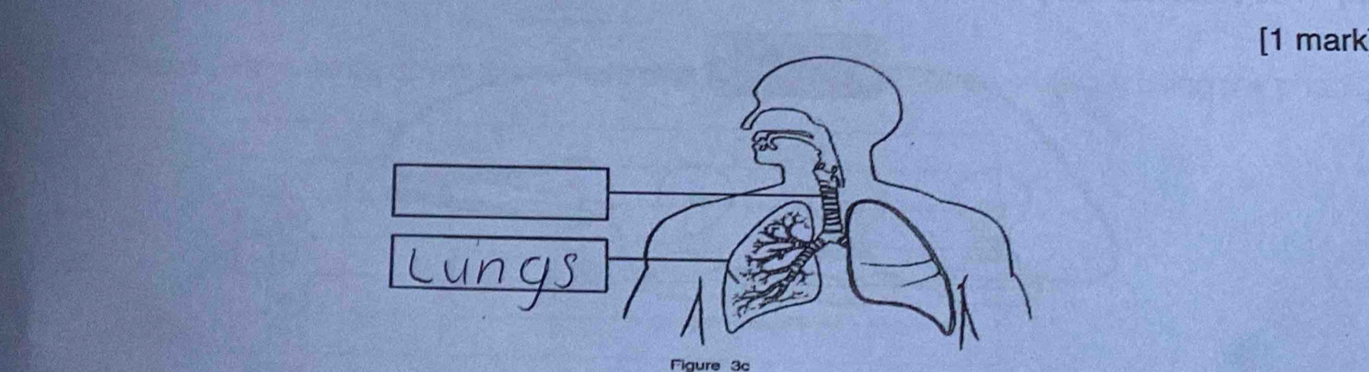 [1 mark 
Figure 3c