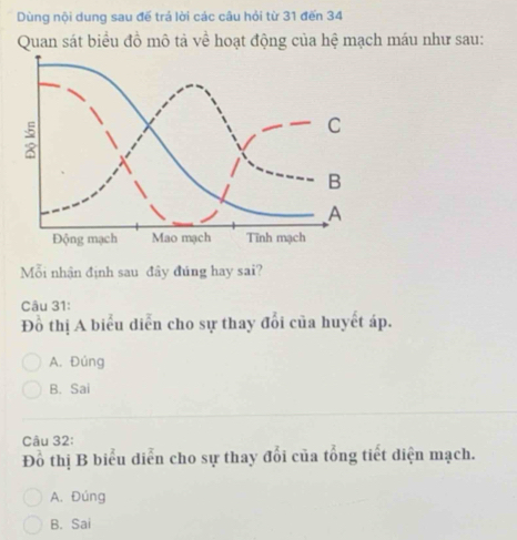 Dùng nội dung sau đế trá lời các câu hỏi từ 31 đến 34
Quan sát biểu đồ mô tả về hoạt động của hệ mạch máu như sau:
:
C
B
A
Động mạch Mao mạch Tĩnh mạch
Mỗi nhận định sau đây đúng hay sai?
Câu 31:
Đồ thị A biểu diễn cho sự thay đổi của huyết áp.
A. Đúng
B. Sai
Câu 32:
Đồ thị B biểu diễn cho sự thay đổi của tổng tiết diện mạch.
A. Đúng
B. Sai