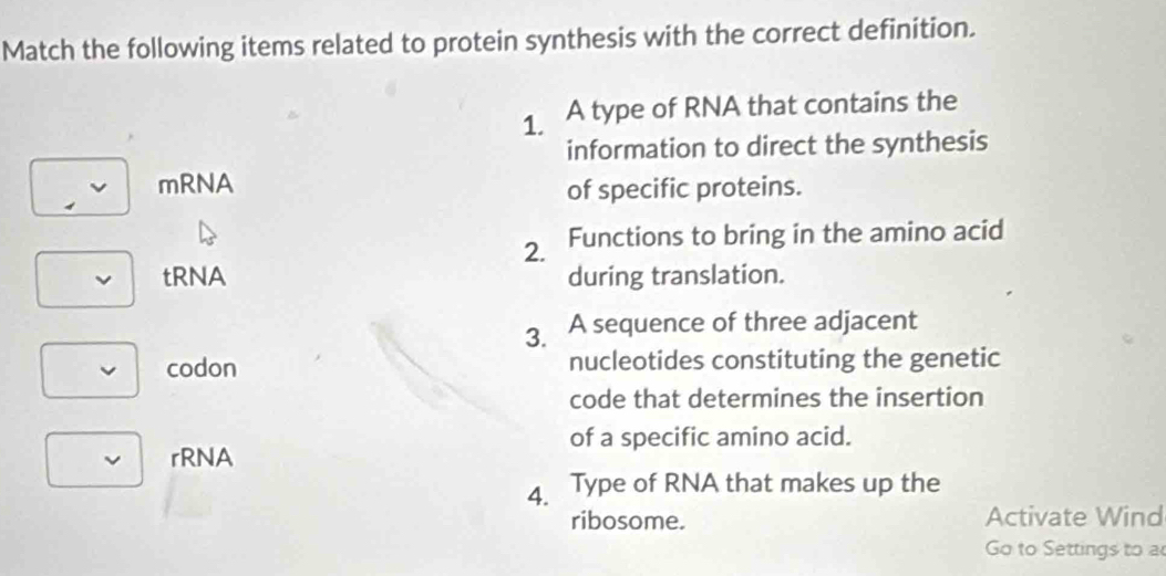 Match the following items related to protein synthesis with the correct definition. 
1. A type of RNA that contains the 
information to direct the synthesis 
mRNA 
of specific proteins. 
2. Functions to bring in the amino acid 
tRNA during translation. 
3. A sequence of three adjacent 
codon nucleotides constituting the genetic 
code that determines the insertion 
of a specific amino acid. 
rRNA 
4. Type of RNA that makes up the 
ribosome. Activate Wind 
Go to Settings to a