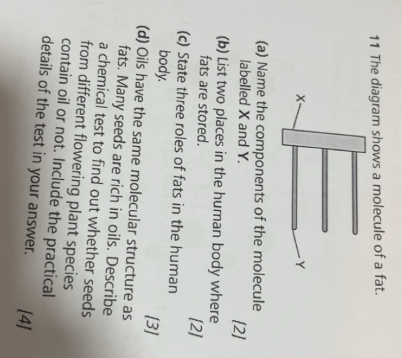 Selesai:The diagram shows a molecule of a fat. (a) Name the components ...