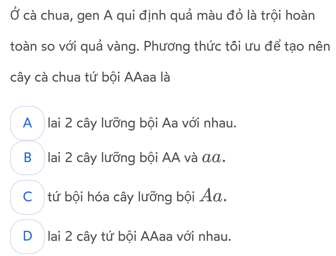 Ở cà chua, gen A qui định quả màu đỏ là trội hoàn
toàn so với quả vàng. Phương thức tối ưu để tạo nên
cây cà chua tứ bội AAaa là
A lai 2 cây lưỡng bội Aa với nhau.
B lai 2 cây lưỡng bội AA và αα.
Ch tứ bội hóa cây lưỡng bội Ảa.
D lai 2 cây tứ bội AAaa với nhau.