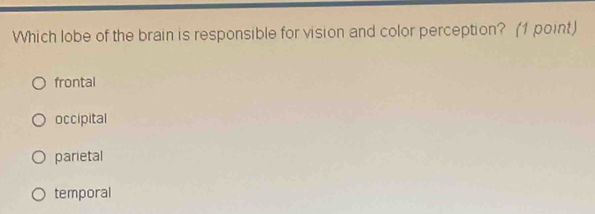 Which lobe of the brain is responsible for vision and color perception? (1 point)
frontal
occipital
parietal
temporal