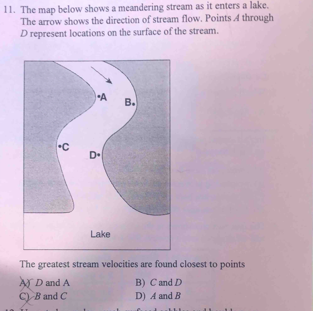 The map below shows a meandering stream as it enters a lake.
The arrow shows the direction of stream flow. Points A through
D represent locations on the surface of the stream.
The greatest stream velocities are found closest to points
AD and A B) C and D
C) B and C D) A and B