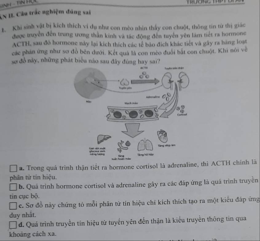 iN - Tn Hộ
AN II. Câu trắc nghiệm đúng sai
t. Khi sinh vật bị kích thích ví dụ như con mèo nhìn thấy con chuột, thông tin từ thị giác
được truyền đến trung ương thần kinh và tác động đến tuyển yên làm tiết ra hormone
ACTH, sau đỏ hormone này lại kích thích các tế bảo đích khác tiết và gây ra hàng loạt
các phản ứng như sơ đồ bên dưới. Kết quả là con mèo đuổi bắt con chuột. Khi nói về
sơ đồ này, những phát biểu nào sau đây đúng hay sai?
a. Trong quá trình thận tiết ra hormone cortisol là adrenaline, thì ACTH chính là
phân tử tín hiệu.
b. Quá trình hormone cortisol và adrenaline gây ra các đáp ứng là quá trình truyền
tin cục bộ.
c. Sơ đồ này chứng tỏ mỗi phân tử tín hiệu chi kích thích tạo ra một kiểu đáp ứng
duy nhất.
d. Quá trình truyền tín hiệu từ tuyển yên đến thận là kiểu truyền thông tin qua
khoảng cách xa.