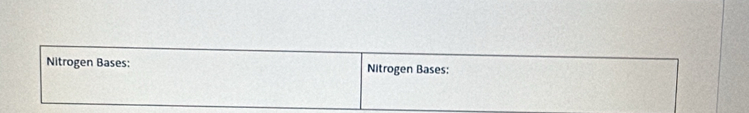 Nitrogen Bases: Nitrogen Bases: