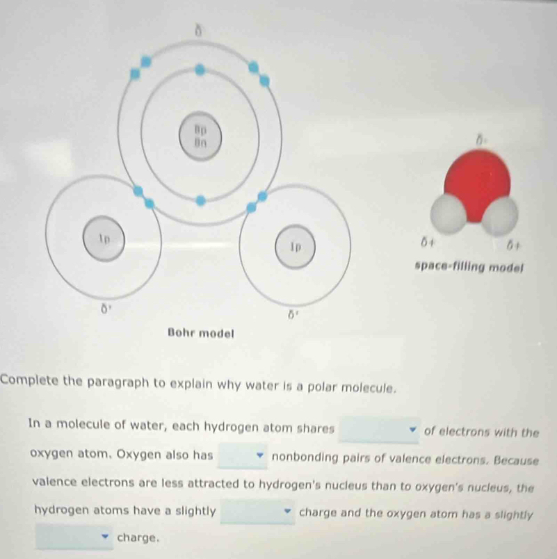 δ+
0 +
space-filling model
Complete the paragraph to explain why water is a polar molecule.
In a molecule of water, each hydrogen atom shares of electrons with the
oxygen atom. Oxygen also has nonbonding pairs of valence electrons. Because
valence electrons are less attracted to hydrogen's nucieus than to oxygen's nucleus, the
hydrogen atoms have a slightly charge and the oxygen atom has a slightly
charge.