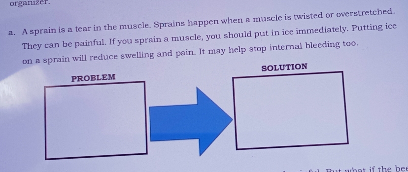 organizer. 
a. A sprain is a tear in the muscle. Sprains happen when a muscle is twisted or overstretched. 
They can be painful. If you sprain a muscle, you should put in ice immediately. Putting ice 
on a sprain will reduce swelling and pain. It may help stop internal bleeding too. 
PROBLEM