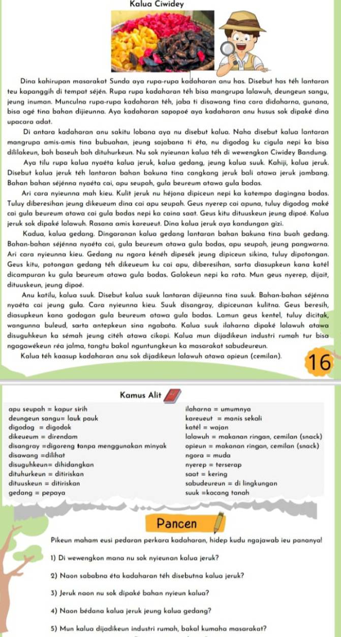 Kalua Ciwidey
Dina kahirupan masarakat Sunda aya rupa-rupa kadaharan anu has. Disebut has téh lantaran
teu kapanggih di tempat séjén. Rupa rupa kadaharan téh bisa mangrupa lalawuh, deungeun sangu,
jeung inuman. Munculna rupa-rupa kadaharan téh, jaba ti disawang tina cara didaharna, gunana,
bisa ogé tina bahan dijieunna. Aya kadaharan sapopoé aya kadaharan anu husus sok dipaké dina
upacara adat.
Di antara kadaharan anu sakitu lobana aya nu disebut kalua. Naha disebut kalua lantaran
mangrupa amis-amis tina bubuahan, jeung sajabana ti éta, nu digodog ku cigula nepi ka bisa
dililakeun, boh baseuh boh dituhurkeun. Nu sok nyieunan kalua téh di wewengkon Ciwidey Bandung.
Aya tilu rupa kalua nyaéta kalua jeruk, kalua gedang, jeung kalua suuk. Kahiji, kalua jeruk.
Disebut kalua jeruk téh lantaran bahan bakuna tina cangkang jeruk bali atawa jeruk jambang.
Bahan bahan séjénna nyaéta cai, apu seupah, gula beureum atawa gula bodas.
Ari cara nyieunna mah kieu. Kulit jeruk nu héjona dipiceun nepi ka katempo dagingna bodas.
Tuluy diberesihan jeung dikeueum dina cai apu seupah. Geus nyerep cai apuna, tuluy digodog maké
cai gula beureum atawa cai gula bodas nepi ka caina saat. Geus kitu dituuskeun jeung dipoé. Kalua
jeruk sok dipaké lalawuh. Rasana amis kareueut. Dina kalua jeruk aya kandungan gizi.
Kadua, kalua gedang. Dingaranan kalua gedang lantaran bahan bakuna tina buah gedang.
Bahan-bahan séjénna nyaéta cai, gula beureum atawa gula bodas, apu seupah, jeung pangwarna.
Ari cara nyieunna kieu. Gedang nu ngora kénéh dipesék jeung dipiceun sikina, tuluy dipotongan.
Geus kitu, potongan gedang téh dikeueum ku cai apu, diberesihan, sarta diasupkeun kana katél
dicampuran ku gula beureum atawa gula bodas. Galokeun nepi ka rata. Mun geus nyerep, dijait,
dituuskeun, jeung dipoé.
Anu katilu, kalua suuk. Disebut kalua suuk lantaran dijieunna tina suuk. Bahan-bahan séjénna
nyaéta cai jeung gula. Cara nyieunna kieu. Suuk disangray, dipiceunan kulitna. Geus beresih,
diasupkeun kana godogan gula beureum atawa gula bodas. Lamun geus kentel, tuluy dicitak,
wangunna buleud, sarta antepkeun sina ngabata. Kalua suuk ilaharna dipaké lalawuh atawa
disuguhkeun ka sémah jeung citéh atawa cikopi. Kalua mun dijadikeun industri rumah tur bisa
ngagawékeun réa jalma, tangtu bakal nguntungkeun ka masarakat sabudeureun.
Kalua téh kaasup kadaharan anu sok dijadikeun lalawuh atawa opieun (cemilan). 16
Kamus Alit
apu seupah = kapur sirh ilaharna = umumnya
deungeun sangu= lauk pauk kareueut = manis sekali
digodog = digodok katél = wajan
dikeueum = direndam lalawuh = makanan ringan, cemilan (snack)
disangray =digoreng tanpa menggunakan minyak opieun = makanan ringan, cemilan (snack)
disawang =dilihat ngora = muda
disuguhkeun= dihidangkan nyerep = terserap
dituhurkeun = ditiriskan saat = kering
dituuskeun = ditiriskan sabudeureun = di lingkungan
gedang = pepaya suuk =kacang tanah
Pancen
Pikeun maham eusi pedaran perkara kadaharan, hidep kudu ngajawab ieu pananya!
1) Di wewengkon mana nu sok nyieunan kalua jeruk?
2) Naon sababna éta kadaharan téh disebutna kalua jeruk?
3) Jeruk naon nu sok dipaké bahan nyieun kalua?
4) Naon bédana kalua jeruk jeung kalua gedang?
5) Mun kalua dijadikeun industri rumah, bakal kumaha masarakat?