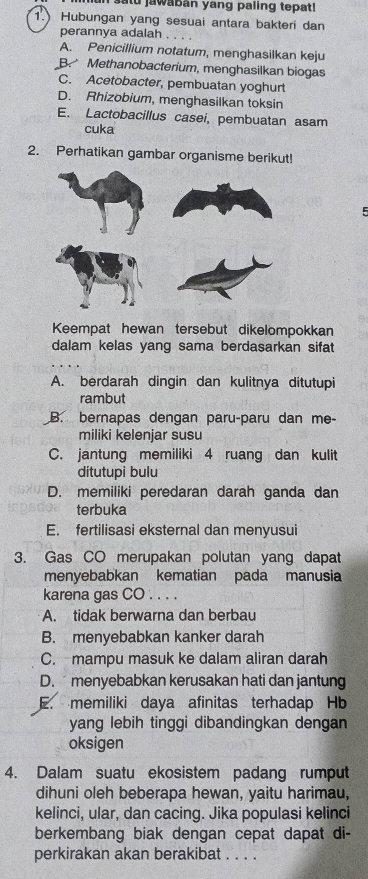 in satu jawaban yang paling tepat!
1. Hubungan yang sesuai antara bakteri dan
perannya adalah . . . .
A. Penicillium notatum, menghasilkan keju
B. Methanobacterium, menghasilkan biogas
C. Acetobacter, pembuatan yoghurt
D. Rhizobium, menghasilkan toksin
E. Lactobacillus casei, pembuatan asam
cuka
2. Perhatikan gambar organisme berikut!
5
Keempat hewan tersebut dikelompokkan
dalam kelas yang sama berdasarkan sifat
A. berdarah dingin dan kulitnya ditutupi
rambut
B. bernapas dengan paru-paru dan me-
miliki kelenjar susu
C. jantung memiliki 4 ruang dan kulit
ditutupi bulu
D. memiliki peredaran darah ganda dan
terbuka
E. fertilisasi eksternal dan menyusui
3. Gas CO merupakan polutan yang dapat
menyebabkan kematian pada manusia
karena gas CO . . . .
A. tidak berwarna dan berbau
B. menyebabkan kanker darah
C. mampu masuk ke dalam aliran darah
D. menyebabkan kerusakan hati dan jantung
E. memiliki daya afinitas terhadap Hb
yang lebih tinggi dibandingkan dengan
oksigen
4. Dalam suatu ekosistem padang rumput
dihuni oleh beberapa hewan, yaitu harimau,
kelinci, ular, dan cacing. Jika populasi kelinci
berkembang biak dengan cepat dapat di-
perkirakan akan berakibat . . . .