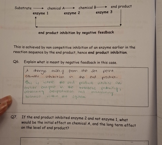 Substrate chemical A chemical B end product 
enzyme 1 enzyme 2 enzyme 3
end product inhibition by negative feedback 
This is achieved by non competitive inhibition of an enzyme earlier in the 
reaction sequence by the end product, hence end product inhibition. 
Q6. Explain what is meant by negative feedback in this case. 
Q7. If the end product inhibited enzyme 2 and not enzyme 1, what 
would be the initial effect on chemical A, and the long term effect 
on the level of end product?