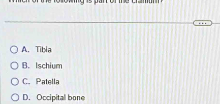 win g is pant of the cranium ?
A. Tibia
B. Ischium
C. Patella
D. Occipital bone