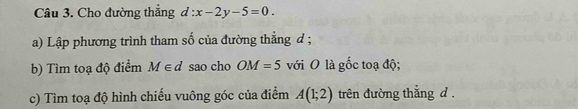 Cho đường thắng d:x-2y-5=0. 
a) Lập phương trình tham số của đường thẳng đ ; 
b) Tìm toạ độ điểm M∈ d sao cho OM=5 với O là gốc toạ độ; 
c) Tìm toạ độ hình chiếu vuông góc của điểm A(1;2) trên đường thắng d.