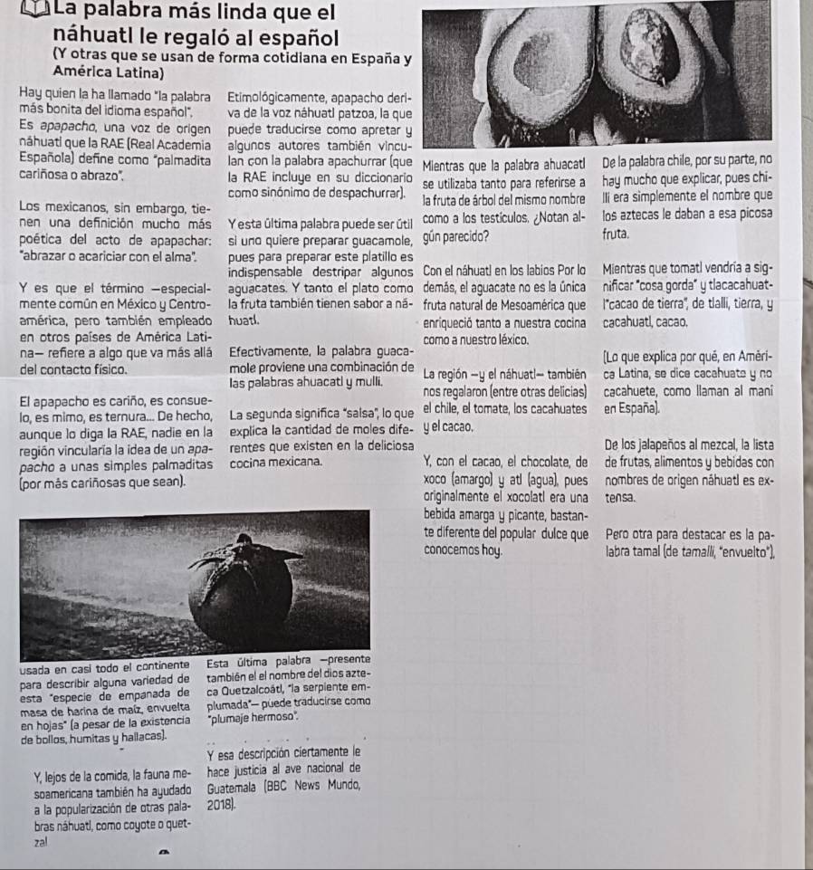 La palabra más linda que el
náhuatl le regaló al español
(Y otras que se usan de forma cotidiana en España
América Latina)
Hay quien la ha llamado "la palabra Etimológicamente, apapacho de
más bonita del idioma español''. va de la voz náhuatl patzoa, la q
Es apapacho, una voz de origen puede traducirse como apretar
náhuatl que la RAE (Real Academia algunos autores también vinc
Española) define como "palmadita Ian con la palabra apachurrar (q Mientras que la palabra a
cariñosa o abrazo''. la RAE incluye en su diccionario se utilizaba tanto para referirse a hay mucho que explicar, pues chi-
como sinónimo de despachurrar).
Los mexicanos, sin embargo, tie- la fruta de árbol del mismo nombre IIí era simplemente el nombre que
nen una definición mucho más Y esta última palabra puede ser útil como a los testículos. ¿Notan al- los aztecas le daban a esa picosa
poética del acto de apapachar: si uno quiere preparar guacamole, gún parecido? fruta.
''abrazar o acariciar con el alma''. pues para preparar este platillo es
indispensable destripar' algunos Con el náhuat! en los labios Por lo Mientras que tomatl vendría a sig-
Y es que el término —especial- aguacates. Y tanto el plato como demás, el aguacate no es la única nificar "cosa gorda" y tlacacahuat-
mente común en México y Centro- la fruta también tienen sabor a nã- fruta natural de Mesoamérica que l'cacao de tierra', de tlalli, tierra, y
américa, pero también empleado huatl. enriqueció tanto a nuestra cocina cacahuatl, cacao,
en otros países de América Lati- como a nuestro léxico.
na- refiere a algo que va más allá Efectivamente, la palabra guaca- (Lo que explica por qué, en Aměri-
del contacto físico. mole proviene una combinación de La región -y el náhuatl— también ca Latina, se dice cacahuats y no
Ias palabras ahuacatl y mulli.
El apapacho es cariño, es consue- nos regalaron (entre otras delicias) cacahuete, como llaman al mani
lo, es mimo, es ternura... De hecho, La segunda significa "salsa', lo que el chile, el tomate, los cacahuates en España).
aunque lo diga la RAE, nadie en la explica la cantidad de moles dife- y el cacao.
región vincularía la idea de un apa- rentes que existen en la deliciosa De los jalapeños al mezcal, la lista
pacho a unas simples palmaditas cocina mexicana. Y, con el cacao, el chocolate, de de frutas, alimentos y bebidas con
(por más cariñosas que sean). xoco (amargo) y atl (agua), pues nombres de origen náhuatl es ex-
originalmente el xocolatl era una tensa.
bebida amarga y picante, bastan-
te diferente del popular dulce que Pero otra para destacar es la pa-
conocemas hoy. labra tamal (de tamallí, "envuelto"),
usada en casi todo el continente  Esta 
para describir alguna variedad de también el el nombre del dios azte-
esta *especie de empanada de ca Quetzalcoátl, "la serpiente em-
masa de harina de maíz, envuelta plumada"— puede traducirse como
en hojas" (a pesar de la existencia 'plumaje hermoso".
de bollos, humitas y hallacas).
Y esa descripción ciertamente le
Y, lejos de la comida, la fauna me- hace justicia al ave nacional de
soamericana también ha ayudado Guatemala (BBC News Mundo,
a la popularización de otras pala- 2018).
bras náhuatl, como coyote o quet-
zal