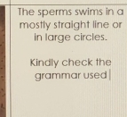 The sperms swims in a 
mostly straight line or 
in large circles. 
Kindly check the 
grammar used |