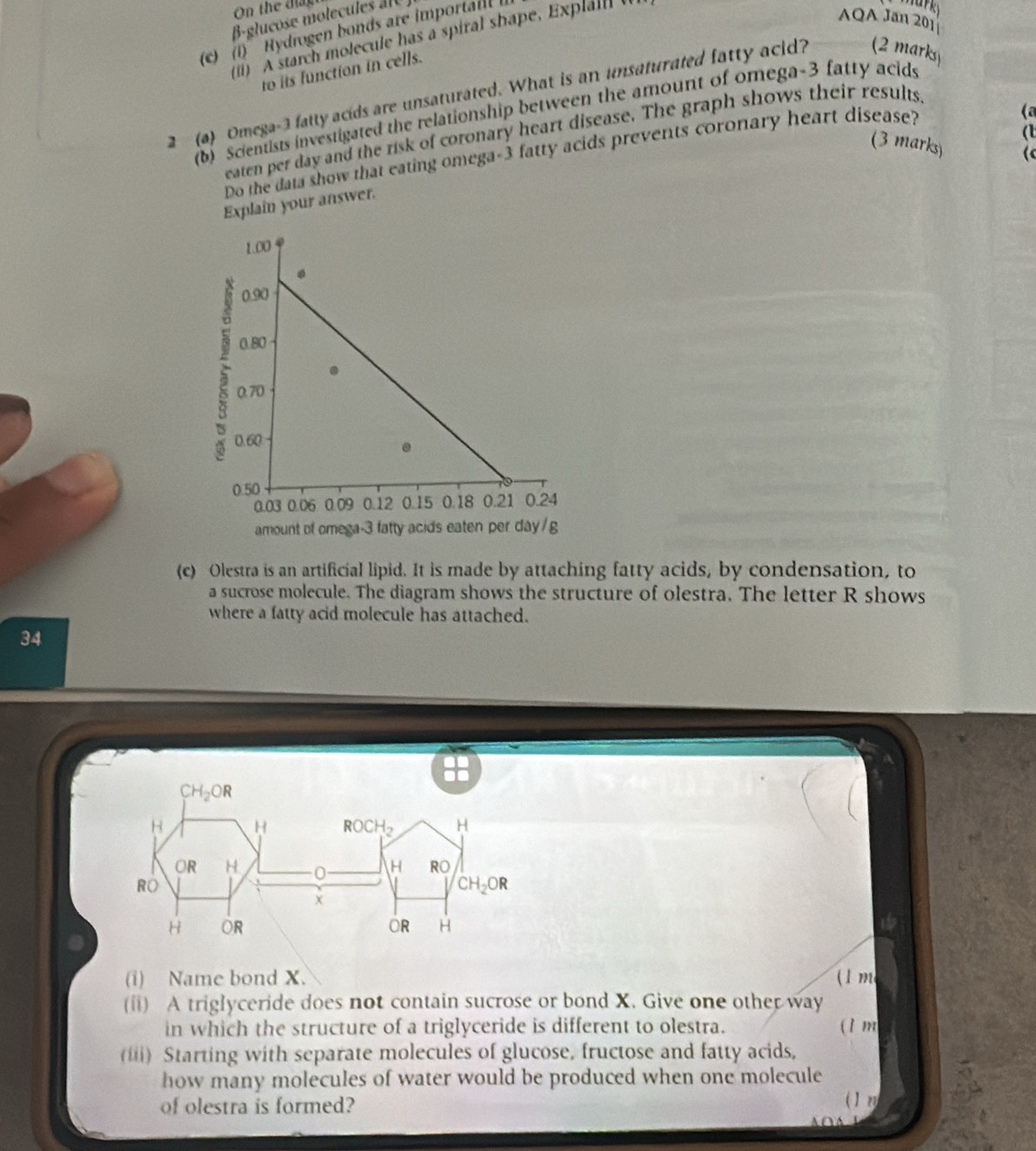 (1)' Hydrogen bonds are importai 
(i) A starch molecule has a spiral shape, Explal  
AQA Jan 201
to its function in cells.
2 (a) Omega-3 fatty acids are unsaturated. What is an unsaturated fatty acid? (2 marks
(b) Scientists investigated the relationship between the amount of omega-3 fatty acids
(t
eaten per day and the risk of coronary heart disease. The graph shows their results.
(3 marks) (
Do the data show that eating omega-3 fatty acids prevents coronary heart disease?
( 
Explain your answer.
amount of omega-3 fatty acids eaten per day/g
(c) Olestra is an artificial lipid. It is made by attaching fatty acids, by condensation, to
a sucrose molecule. The diagram shows the structure of olestra. The letter R shows
where a fatty acid molecule has attached.
34
(1) Name bond X. (1 m
(ii) A triglyceride does not contain sucrose or bond X. Give one other way
in which the structure of a triglyceride is different to olestra. (1 m
(iii) Starting with separate molecules of glucose, fructose and fatty acids,
how many molecules of water would be produced when one molecule
of olestra is formed? 12