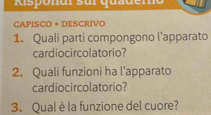 Aisponar sur quadeno 
CAPISCO • DESCRIVO 
1. Quali parti compongono l’apparato 
cardiocircolatorio? 
2. Quali funzioni ha l’apparato 
cardiocircolatorio? 
3. Qual è la funzione del cuore?