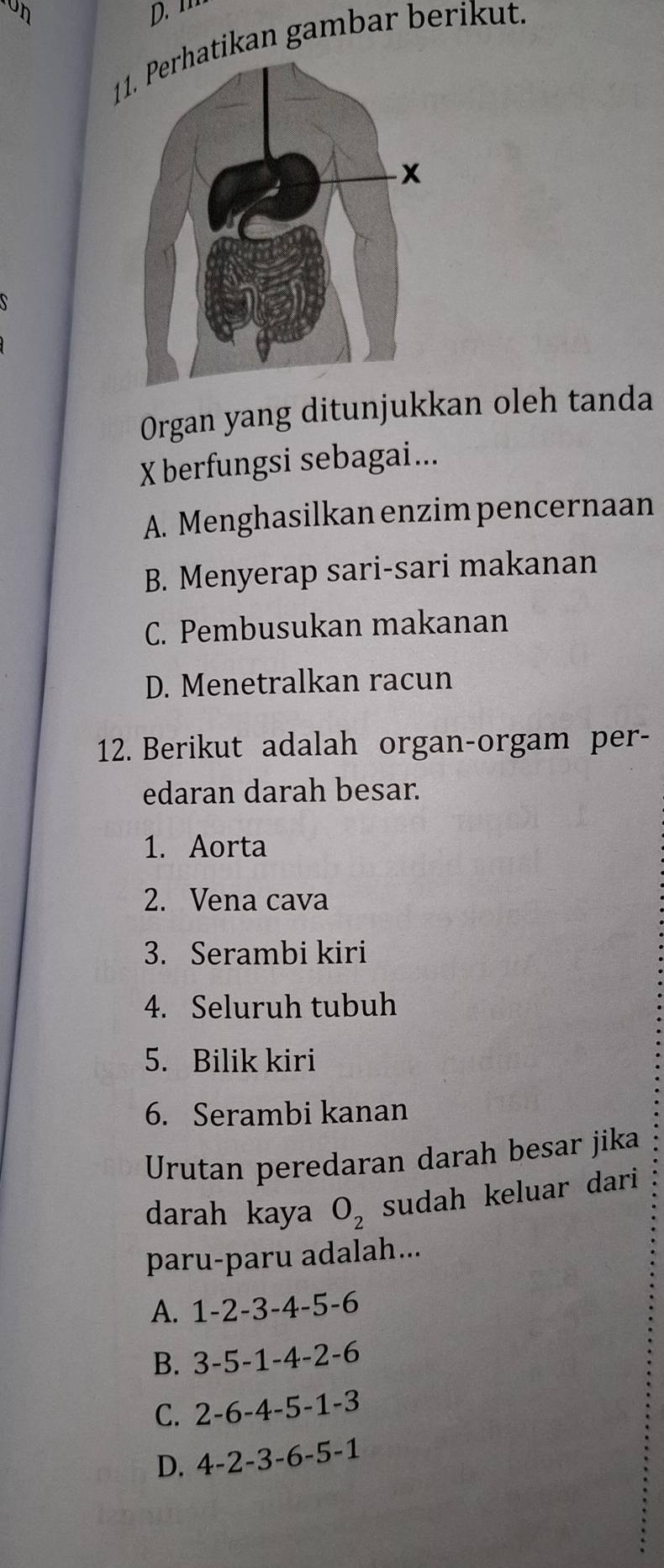 ''
11. Perhatikan gambar berikut.
Organ yang ditunjukkan oleh tanda
X berfungsi sebagai...
A. Menghasilkan enzim pencernaan
B. Menyerap sari-sari makanan
C. Pembusukan makanan
D. Menetralkan racun
12. Berikut adalah organ-orgam per-
edaran darah besar.
1. Aorta
2. Vena cava
3. Serambi kiri
4. Seluruh tubuh
5. Bilik kiri
6. Serambi kanan
Urutan peredaran darah besar jika
darah kaya O_2 sudah keluar dari
paru-paru adalah...
A. 1-2-3-4-5-6
B. 3-5-1-4-2-6
C. 2-6-4-5-1-3
D. 4-2-3-6-5-1