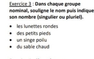 Dans chaque groupe 
nominal, souligne le nom puis indique 
son nombre (singulier ou pluriel). 
les lunettes rondes 
des petits pieds 
un singe poilu 
du sable chaud