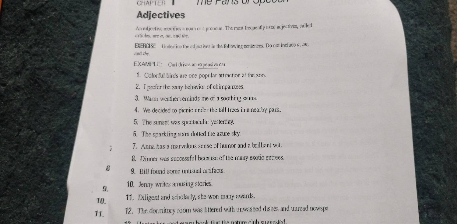 Solved: CHAPTER me Pans or opee Adjectives An adjective modifies a noun ...