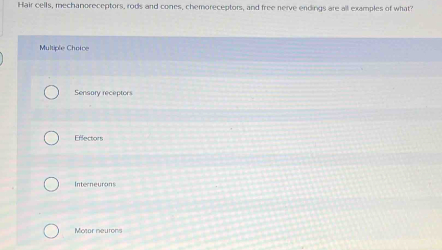 Hair cells, mechanoreceptors, rods and cones, chemoreceptors, and free nerve endings are all examples of what?
Multiple Choice
Sensory receptors
Effectors
Interneurons
Motor neurons