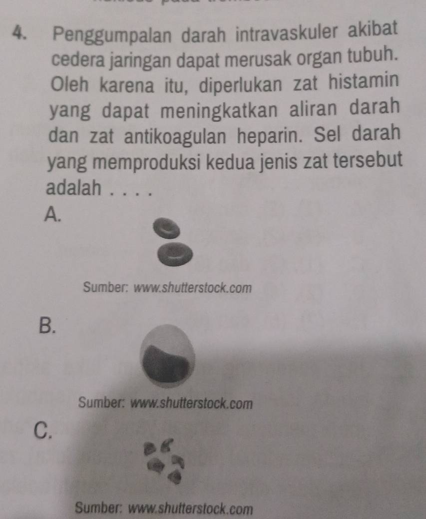 Penggumpalan darah intravaskuler akibat
cedera jaringan dapat merusak organ tubuh.
Oleh karena itu, diperlukan zat histamin
yang dapat meningkatkan aliran darah
dan zat antikoagulan heparin. Sel darah
yang memproduksi kedua jenis zat tersebut
adalah
A.
Sumber: www.shutterstock.com
B.
Sumber: www.shutterstock.com
C.
Sumber: www.shutterstock.com