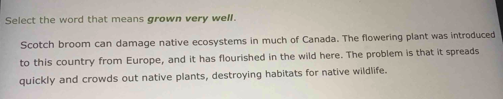 Select the word that means grown very well. 
Scotch broom can damage native ecosystems in much of Canada. The flowering plant was introduced 
to this country from Europe, and it has flourished in the wild here. The problem is that it spreads 
quickly and crowds out native plants, destroying habitats for native wildlife.