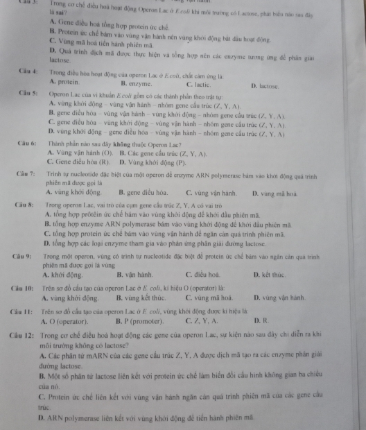 L3l 3:   Trong cơ chế điều hoà hoạt động Operon Lac ở Ecoi khi môi trường có Lactose, phát biểu nào sau đây
là sai?
A. Gene điều hoà tổng hợp protein ức chế
B. Protein ức chế bám vào vùng vận hành nên vùng khới động bắt đầu hoạt động
C. Vùng mã hoá tiến hành phiên mã.
D. Quá trình địch mã được thực hiện và tổng hợp nên các enzyme tượng ứng để phân giải
lactose.
Câu 4: Trong điều hòa hoạt động của operon Lạc ở E.coli, chất cảm ứng là:
A. protein B. enzyme C. lactic. D. lactose
Câu 5:  Operon Lạc của vi khuẩn E coli gồm có các thành phần theo trật tự:
A. vùng khởi động - vùng vận hành - nhóm gene cầu trúc (∠ ,Y,A)
B. gene điều hòa - vùng vận hành - vùng khởi động - nhóm gene cấu trúc (∠ ,Y,A)
C. gene điều hòa - vùng khởi động - vùng vận hành - nhóm gene cầu trúc (2 Y.A
D. vùng khới động - gene điều hóa - vùng vận hành - nhóm gene cầu trúc (Z. Y. A)
Câu 6: Thành phần nào sau đây không thuộc Operon Lac?
A. Vùng vận hành (O). B. Các gene cầu trúc (Z,Y,A)
C. Gene điều hòa (R). D. Vùng khới động (P).
Câu 7:  Trinh tự nucleotide đặc biệt của một operon để enzyme ARN polymerase bám vào khởi động quả trình
phiên mã được gọi là
A. vùng khởi động B. gene điều hòa. C. vùng vận hành. D. vùng mã hoà
Câu 8: Trong operon Lac, vai trò của cụm gene cầu trúc Z, Y, A có vai trò
A. tổng hợp prốtêin ức chế bám vào vùng khởi động để khởi đầu phiên mã.
B. tổng hợp enzyme ARN polymerase bám vào vùng khởi động để khời đầu phiên mã.
C. tổng hợp protein ức chế bám vào vùng vận hành để ngăn cản quá trình phiên mã.
D. tổng hợp các loại enzyme tham gia vào phân ứng phân giải đường lactose.
Câu 9: Trong một operon, vùng có trình tự nucleotide đặc biệt để protein ức chế bám vào ngân cản quả trình
phiên mã được gọi là vùng
A. khởi động. B, vận hành. C. điều hoà. D. kết thúc
Câu 10: Trên sơ đồ cầu tạo của operon Lac ở E. coli, ki hiệu O (operator) là:
A. vùng khởi động. B. vùng kết thúc. C. vùng mã hoá D. vùng vận hành
Câu H: Trên sơ đồ cầu tạo của operon Lac ở E coli, vùng khởi động được kí hiệu là:
A. O (operator). B. P (promoter). C. Z, Y, A. D. R
Câu 12: Trong cơ chế điều hoá hoạt động các gene của operon Lac, sự kiện nào sau đây chi diễn ra khi
môi trường không có lactose?
A. Các phân tử mARN của các gene cầu trúc Z, Y, A được dịch mã tạo ra các enzyme phân giải
đường lactose.
B. Một số phân tử lactose liên kết với protein ức chế làm biến đổi cầu hình không gian ba chiều
của nó.
C. Protein ức chế liên kết với vùng vận hành ngăn cản quá trình phiên mã của các gene cầu
trúc.
D. ARN polymerase liên kết với vùng khởi động đề tiền hành phiên mã.