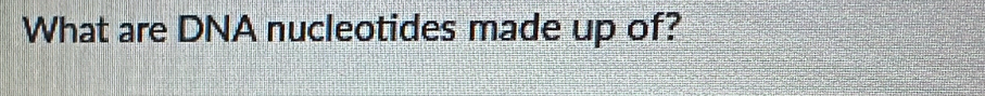 What are DNA nucleotides made up of?