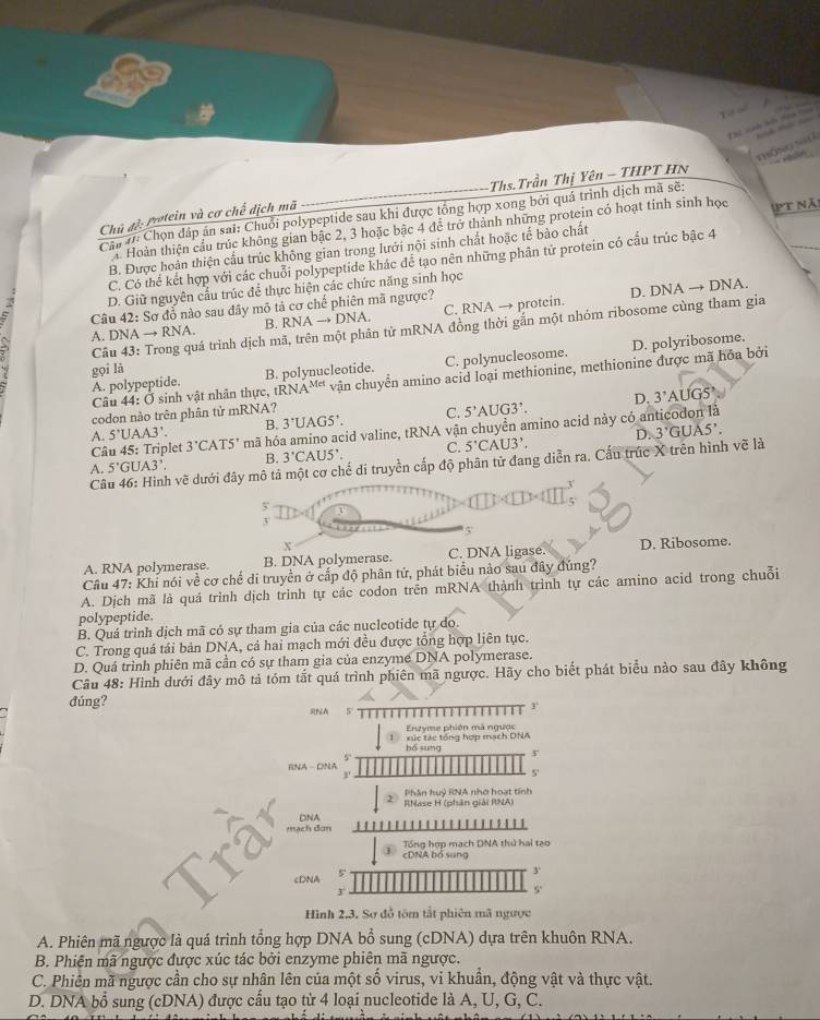 thông Ngữ
Ths.Trần Thị Yên - THPT HN  
Câu 1: Chọn đáp án sai: Chuỗi polypeptide sau khi được tổng hợp xong bởi quá trình dịch mã sẽ:
Chủ đề: Protein và cơ chế dịch mã
# Hoàn thiện cầu trúc không gian bậc 2, 3 hoặc bậc 4 để trở thành những protein có hoạt tinh sinh học
C. Có thể kết hợp với các chuỗi polypeptide khác để tạo nên những phân tử protein có cấu trúc bậc 4 pt nã
B. Được hoàn thiện cấu trúc không gian trong lưới nội sinh chất hoặc tế bào chất
D. DNAto DN A
D. Giữ nguyên cầu trúc để thực hiện các chức năng sinh học
> Câu 42:Sc ở đồ nào sau đãy mô tả cơ chế phiên mã ngược?
A. DNAto RNA. B. RNAto DNA. C. RNA → protein.
Câu 43: Trong quá trình dịch mã, trên một phân từ mRNA đồng thời gắn một nhóm ribosome cùng tham gia
A. polypeptide. B. polynucleotide. C. polynucleosome. D. polyribosome.
gọi là
Câu 44: Ở sinh vật nhân thực, tRNA^(Met) vận chuyển amino acid loại methionine, methionine được mã hóa bởi
D. 3'A L G5
codon nào trên phân tử mRNA?
A. 5'UAA3'. B. 3^,UAGS'. C. 5'AUG3'.
Câu 45 : Triplet 3'CAT5' mã hóa amino acid valine, tRNA vận chuyển amino acid này có anticodon là
D.
A. 5'GUA3'. B. 3'CAUS'. C. 5^.CAU3^..
Câu 46: Hình vẽ dưới đây mô tả một cơ chế di truyền cấp độ phân tử đang diễn ra. Cấu trúc X trên hình vẽ là 3'G JA5'
5
3
5
X
A. RNA polymerase. B. DNA polymerase. C. DNA ligase. D. Ribosome.
Câu 47: Khi nói về cơ chế di truyền ở cấp độ phân tử, phát biểu nào sau đây đúng?
A. Dịch mã là quá trình dịch trình tự các codon trên mRNA thành trình tự các amino acid trong chuỗi
polypeptide.
B. Quá trình dịch mã có sự tham gia của các nucleotide tự do.
C. Trong quá tái bản DNA, cả hai mạch mới đều được tổng hợp liên tục.
D. Quá trình phiên mã cần có sự tham gia của enzyme DNA polymerase.
Câu 48: Hình dưới đây mô tả tóm tắt quá trình phiên mã ngược. Hãy cho biết phát biểu nào sau đây không
đúng? RNA 5
1'
Erutyme phiên mà ngược
bó sung xức tác tổng hợp mạch DNA
r
5°
RNA - DNA
3'
5'
Phân huỷ RNA nhớ hoạt tính
Rhase H (phân giải RNA)
mạch đơn DNA
Tổng hợp mạch DNA thứ hai tạo
A bó sung
cDNA 5
3'
3'
5.
Hình 2,3. Sơ đồ tôm tắt phiên mã ngược
A. Phiên mã ngược là quá trình tổng hợp DNA bổ sung (cDNA) dựa trên khuôn RNA.
B. Phiện mã ngược được xúc tác bởi enzyme phiên mã ngược.
C. Phiên mã ngược cần cho sự nhân lên của một số virus, vi khuần, động vật và thực vật.
D. DNA bổ sung (cDNA) được cầu tạo từ 4 loại nucleotide là A, U, G, C.
