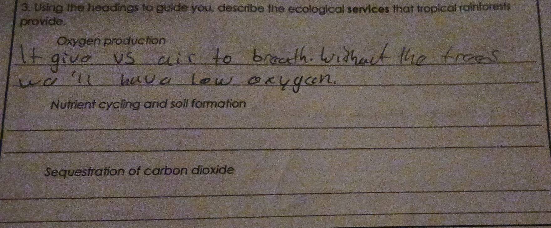 Using the headings to guide you, describe the ecological services that tropical rainforests 
provide. 
Oxygen production 
_ 
_ 
Nutrient cycling and soil formation 
_ 
_ 
Sequestration of carbon dioxide 
_ 
_