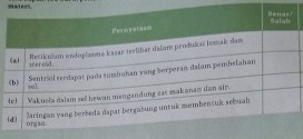 Materi.