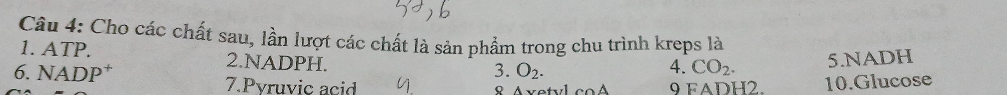 Cho các chất sau, lần lượt các chất là sản phẩm trong chu trình kreps là 
1. ATP. 2. NADPH. 
6. NADP† 3. O_2. 
4. CO_2. 5.NADH 
7.Pyruvic acid 9 FADH2.
cos A
10.Glucose