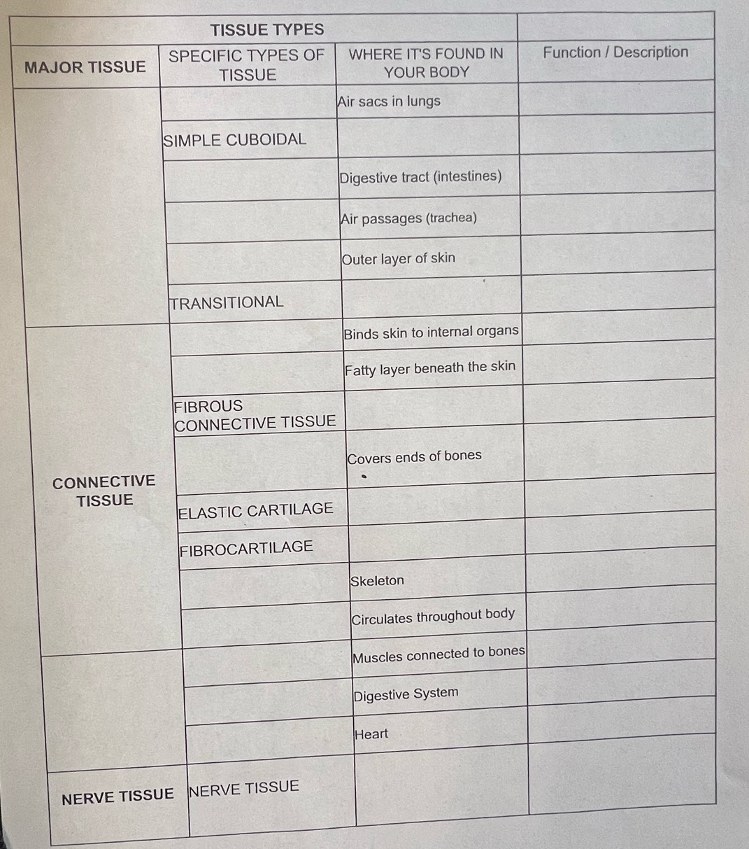 TISSUE TYPES 
MA