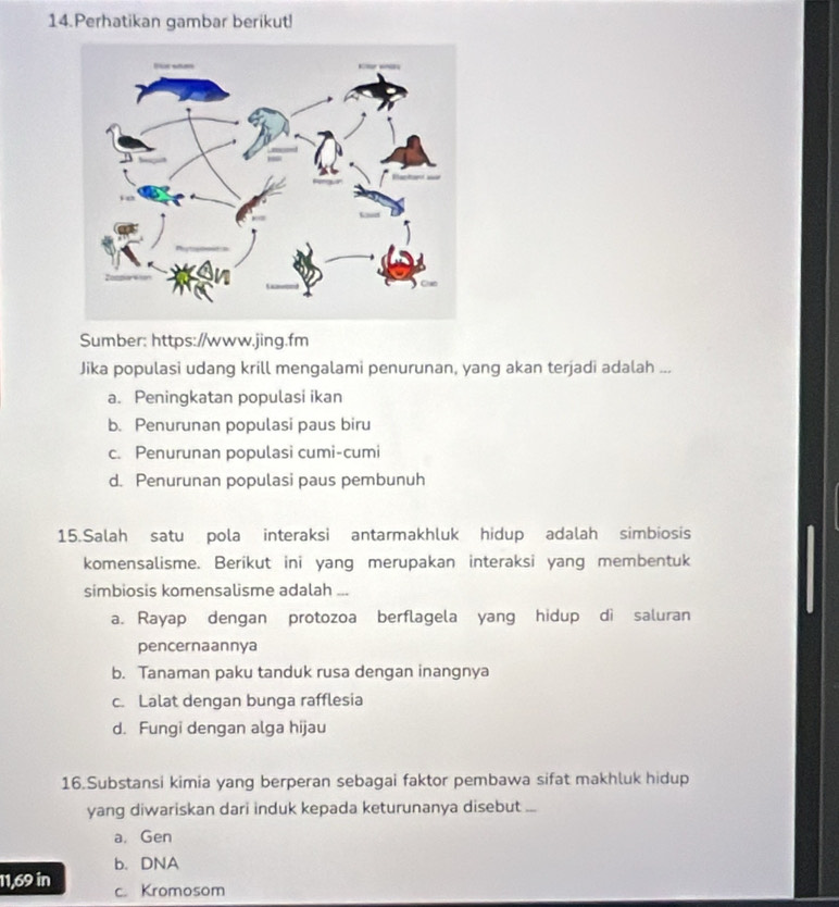 Perhatikan gambar berikut!
Sumber: https://www.jing.fm
Jika populasi udang krill mengalami penurunan, yang akan terjadi adalah ...
a. Peningkatan populasi ikan
b. Penurunan populasi paus biru
c. Penurunan populasi cumi-cumi
d. Penurunan populasi paus pembunuh
15.Salah satu pola interaksi antarmakhluk hidup adalah simbiosis
komensalisme. Berikut ini yang merupakan interaksi yang membentuk
simbiosis komensalisme adalah ...
a. Rayap dengan protozoa berflagela yang hidup di saluran
pencernaannya
b. Tanaman paku tanduk rusa dengan inangnya
c. Lalat dengan bunga rafflesia
d. Fungi dengan alga hijau
16.Substansi kimia yang berperan sebagai faktor pembawa sifat makhluk hidup
yang diwariskan dari induk kepada keturunanya disebut ...
a. Gen
b. DNA
11,69 in c. Kromosom