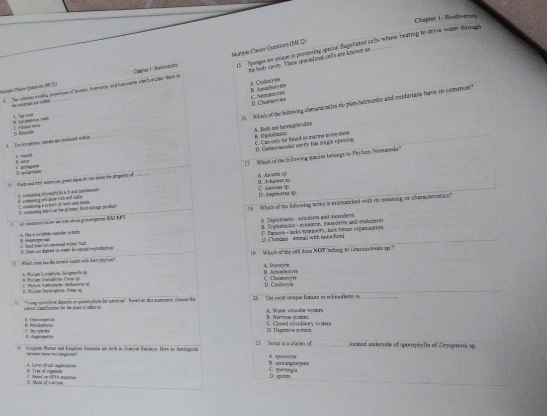 Chapter 1: Biodiversity
Multiple Choice Questions (MCQ)
Chapter 1: Biodiversity
15. Sponges are unique in possessing special flagellated cells whose beating to drive water through
the body cavity. These specialized cells are known as
B. Amoebocytes A. Cnidocytes
Multiple Choice Questions (MCQ)
8. The colorless rootlike projections of mosses, liverworts, and hornworts which anchor them to
C. Nematocysts
D. Choanocytes
16. Which of the following characteristics do platyhelminths and cnidarians have in common?
the substrate are colled.
A. Tap rocts
B. Advertitious roob
_
A. Both are hermaphrodite
D. Rhimids C Fibrous roots
C. Can only be found in marine ecosystem
9 For bryophytes, sperms are produced within
B. Diploblastic
D Gastrovascular cavity has single opening
A rhizod
B sorus
C. archegoma
10 Plants and their ancestors, green algae do not share the property of_ 17. Which of the following species belongs to Phylum Nematoda?
D antheridium
A. containing chlorophylls a, b and carotenmids A. Ascaris sp B. Achatina sp
D. Amphioxus sp.
C containing a system of roots and stems C. Asterias sp
B. containing cellulose-rich cell walls
D. containing starch as the primary food storage product
| 1 All statements below are true about gymnosperms EXCEPT 18. Which of the following terms is mismatched with its meaning or characteristics?
B. Triploblastic - ectoderm, mesoderm and endoderm
A. Has a complete vascular system A. Diploblastic - ectoderm and mesoderm
C. Seed does not enclosed within frust C. Parazoa - lacks symmetry, lack tissue organisation
B Heserosperous
D. Does not depend on water for sexual reproduction D. Chordate - animal with notochord
12 Which plant has the correct match with their phylum? 19 Which of the cell does NOT belong to Leucosolenia sp.?
A. Porocyte
A. Phylum Lycophyta- Seluginefla sp B. Amoebocyte
B. Phyšum Gnetophyta- Cycar sp
C. Phyium Anthophyta- Anthoceros sp D Cnidocyte C. Choanocyte
D. Phylum Hepatophyta- Pima sp.
13. 'Young sporophyte depends on gametophyte for nutrition''. Based on this statement, choose the 20 The most unique feature in echinoderm is_
comect classification for the plant it refers to A. Water vascular system
A. Gemnosperts B. Nervous system C. Closed circulatory system
B. Ptendophytes
C. Bryoclhytes D. Digestive system
D Angiosperms located underside of sporophylls of Dryopteris sp.
21. Sorus is a cluster of
l4 Kingdom Plamae and Kingdom Animalia are both in Domain Eukarya. How to distinguish
betwern these two kingdoms. A sporocyte
A. Level of cell organization
B. sporangiospore
C sporangia
B. Type of organoum D. spores
C. Based on rRNA sequence
D. Mode of mutrition