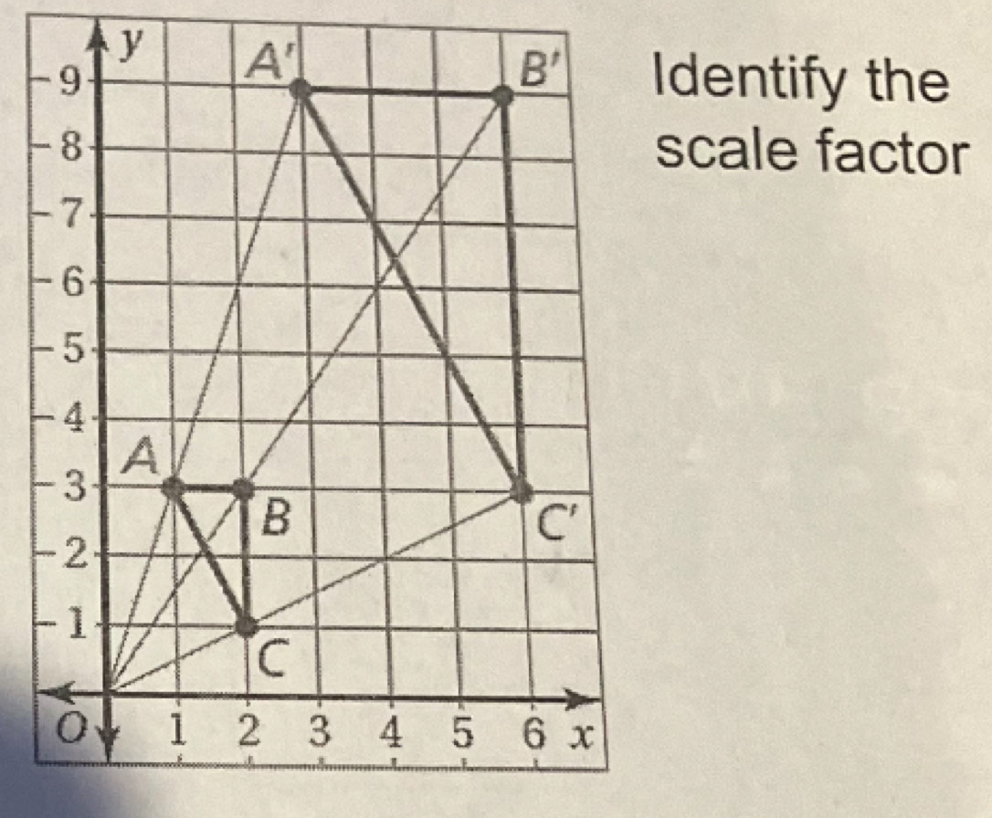 Identify the
scale factor