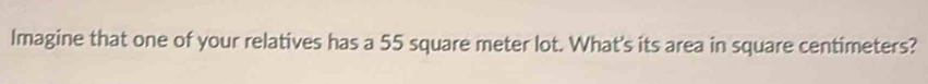 Imagine that one of your relatives has a 55 square meter lot. What's its area in square centimeters?