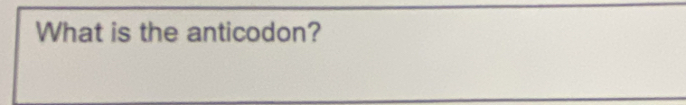 What is the anticodon?