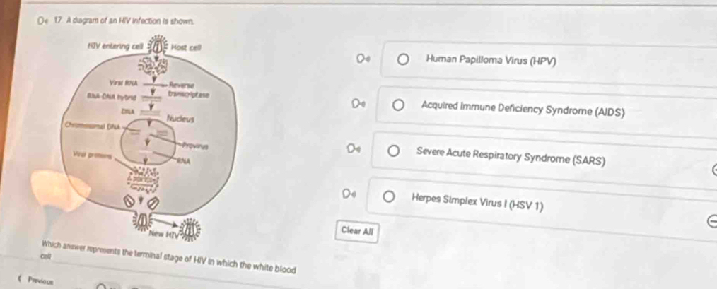 A diagram of an HIV infection is shown. 
Human Papilloma Virus (HPV) 
Acquired Immune Deficiency Syndrome (AIDS) 
Severe Acute Respiratory Syndrome (SARS) 
Herpes Simplex Virus I (HSV 1) 
Clear All 
presents the terminal stage of HIV in which the white blood 
《 Previaus