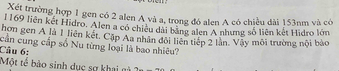 Xét trường hợp 1 gen có 2 alen A và a, trong đó alen A có chiều dài 153nm và có
1169 liên kết Hidro. Alen a có chiều dài bằng alen A nhưng số liên kết Hidro lớn 
hơn gen A là 1 liên kết. Cặp Aa nhân đôi liên tiếp 2 lân. Vậy môi trường nội bào 
cần cung cấp số Nu từng loại là bao nhiêu? 
Câu 6: 
Một tế bào sinh dục sợ khai gà