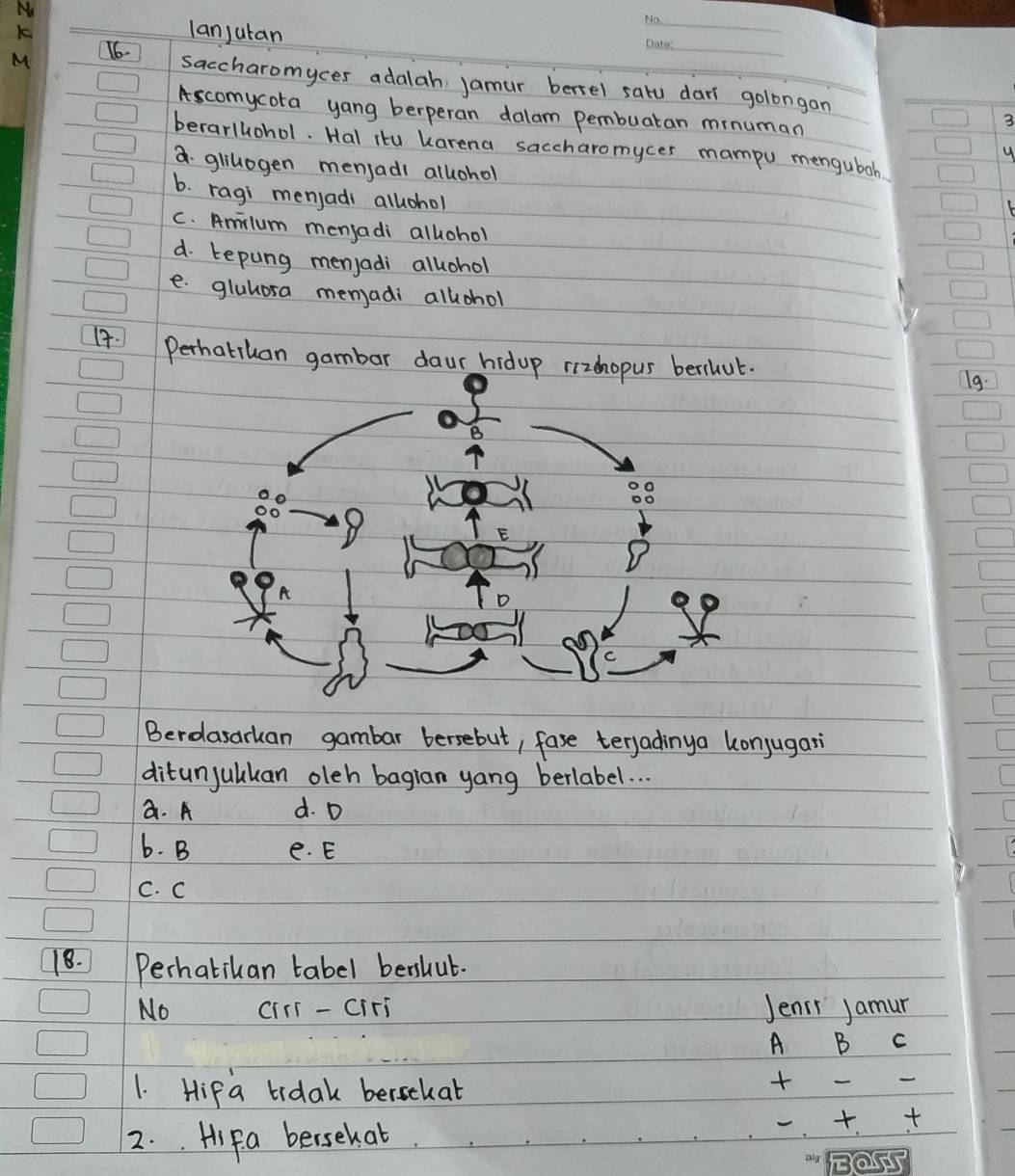 Mo
K
lanjuran
_
M 16.
_
saccharomyces adalah jamur bertel satu dar golongan
Ascomycota yang berperan dalam pembuaran mrnuman
3
berarlhohol. Hal itu karena saccharomyces mampu menguboh
4
a glillogen mensadl allohol
b. ragi menjadi allohol
C. Amilum menjadi allohol
d. tepung menjadi allohol
e. gluhosa menadi allchol
1: Perhatiuan gambar daur hidup rizhopus berihul.
19.
B
88
8
E
D
A
D
c
Berdasarkan gambar bersebut, fase terladinya konjugas
ditunjulkan oleh bagian yang berlabel. . .
a. A d. D
6. B e. E
C. C
18. Perhatikan tabel benhut.
No cIrt - ciri Jenis jamur
1. Hif a brdak bersekat
2.. Hifa bersehat

Eo