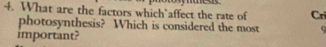 What are the factors which`affect the rate of Cri 
photosynthesis? Which is considered the most Q 
important?