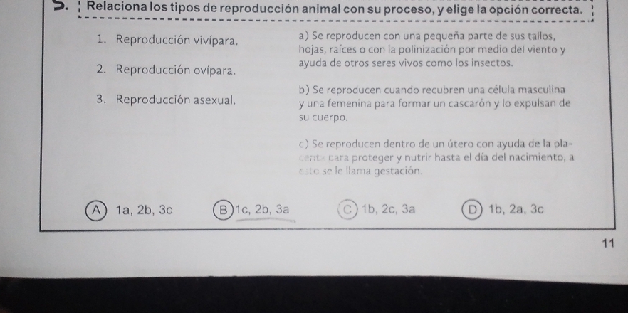 Relaciona los tipos de reproducción animal con su proceso, y elige la opción correcta.
a) Se reproducen con una pequeña parte de sus tallos,
1. Reproducción vivípara. hojas, raíces o con la polinización por medio del viento y
2. Reproducción ovípara. ayuda de otros seres vivos como los insectos.
b) Se reproducen cuando recubren una célula masculina
3. Reproducción asexual. y una femenina para formar un cascarón y lo expulsan de
su cuerpo.
c) Se reproducen dentro de un útero con ayuda de la pla
centa para proteger y nutrir hasta el día del nacimiento, a
esto se le llama gestación.
A 1a, 2b, 3c B) 1c, 2b, 3a C ) 1b, 2c, 3a D) 1b, 2a, 3c
11